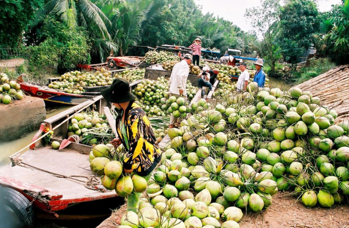 Với chủ đề “Vẻ đẹp du lịch Xứ Dừa”, các tác phẩm dự thi dưới dạng ảnh chụp phải thể hiện được Vẻ đẹp thiên nhiên, cảnh quan, kiến trúc, văn hóa lịch sử, nét sinh hoạt hằng ngày, phong tục tập quán, ẩm thực, sự kiện, lễ hội, làng nghề… trên địa bàn tỉnh Bến Tre. (Nguồn ảnh: travelmag.vn)